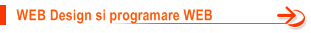     WEB Design si programare WEB