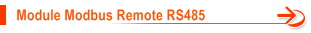 Module Modbus Remote RS485