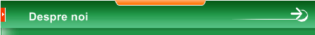 Despre noi